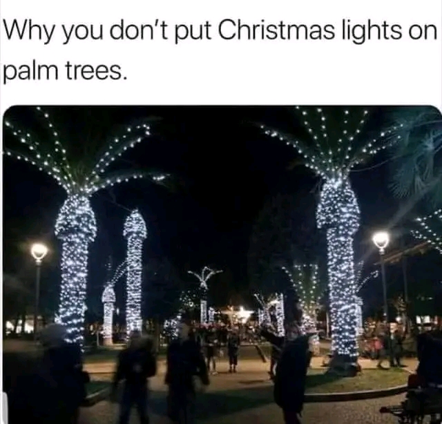 1694485183258.jpg