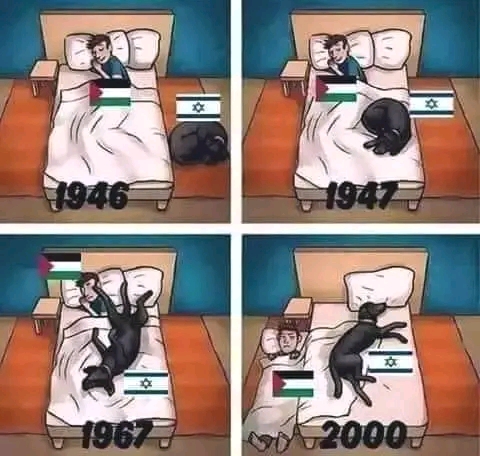 1697330981257.jpg
