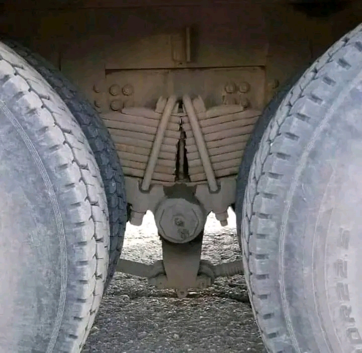 1697889491121.jpg