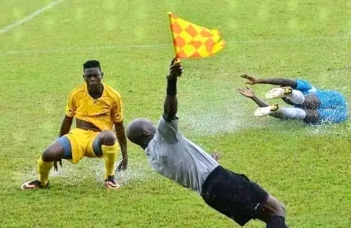 1700548065737.jpg