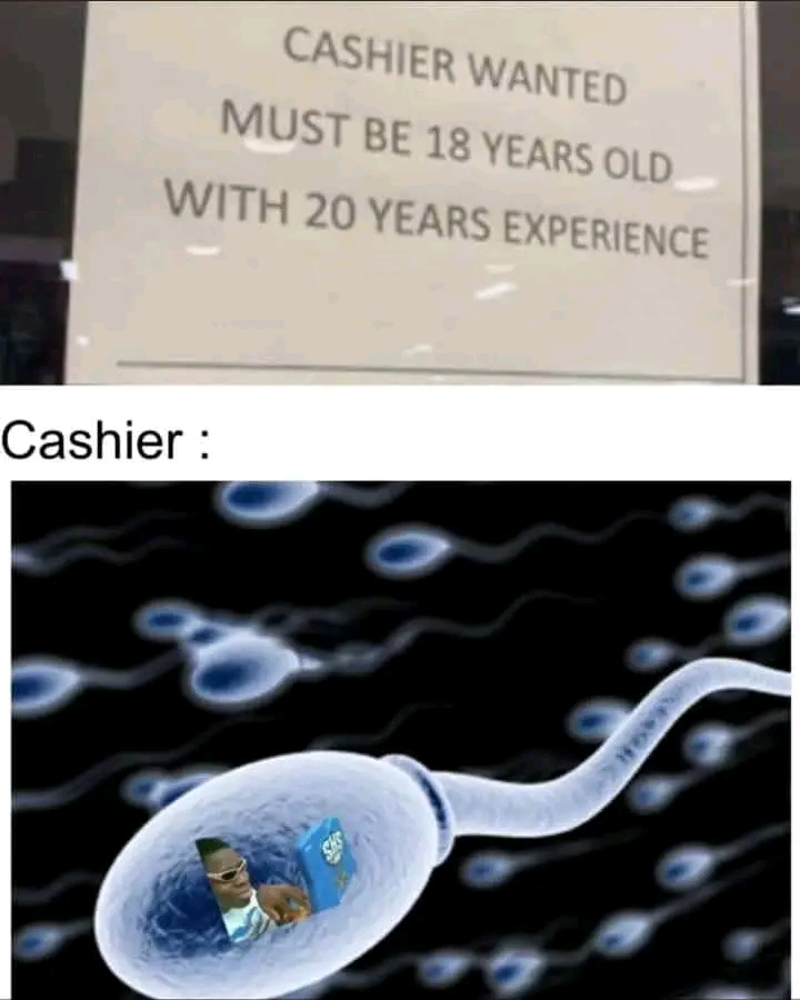 1702303799396.jpg