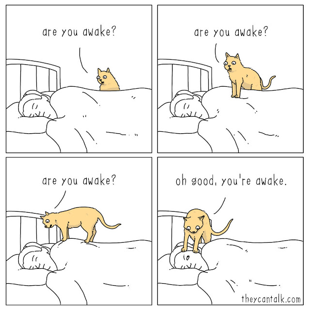 1706669676579.png