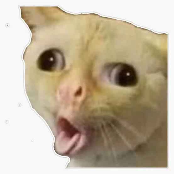 1709584944728.png