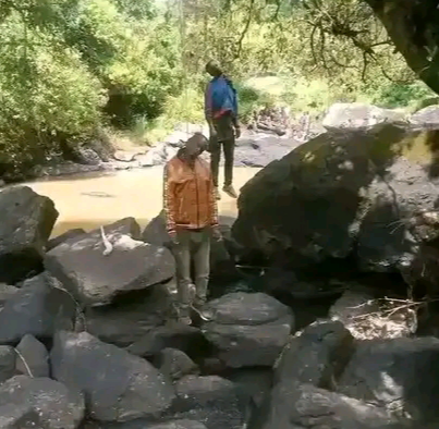 1711162318674.png