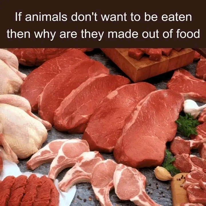 1713607508300.jpg