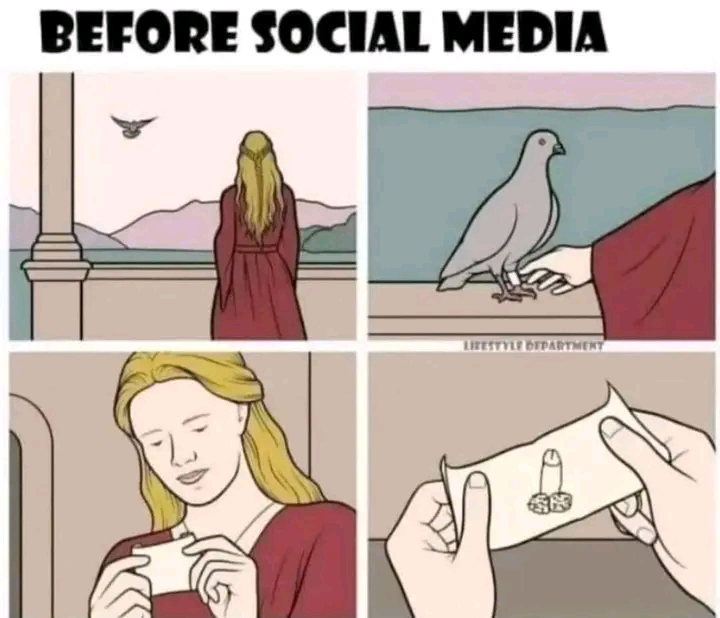 1714308967596.jpg