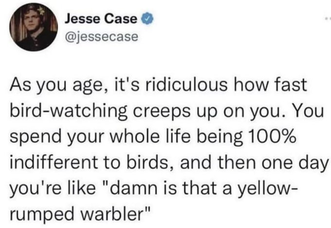 1717065128754.png