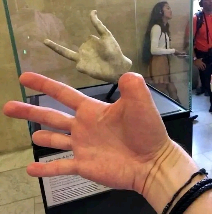 1717904496585_1.jpg