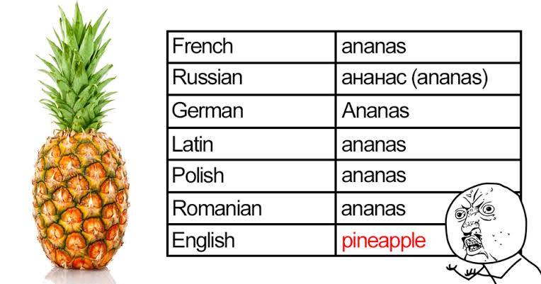 1718356145206.png