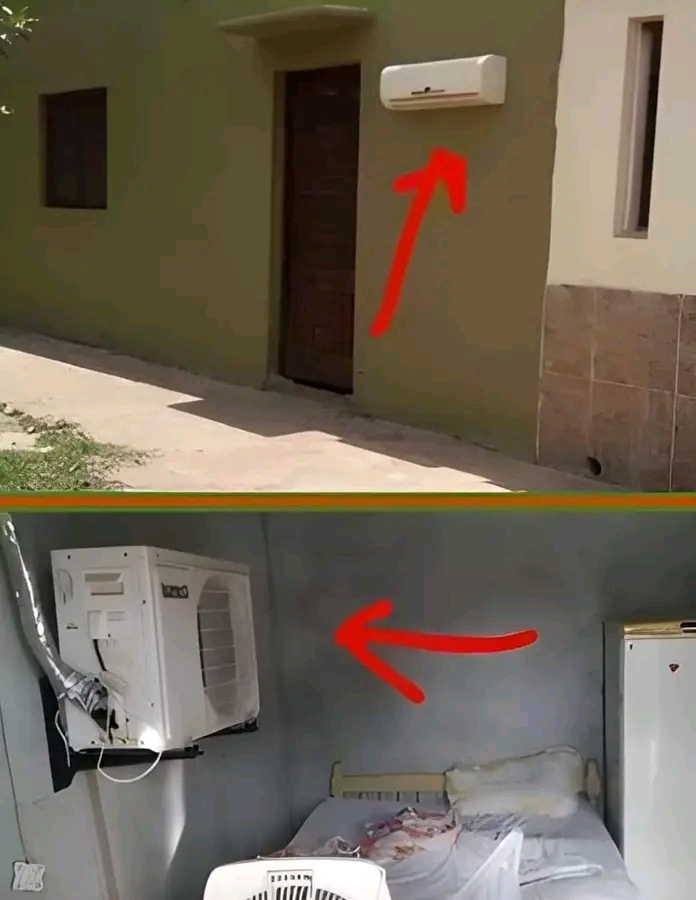 1721531381400.jpg