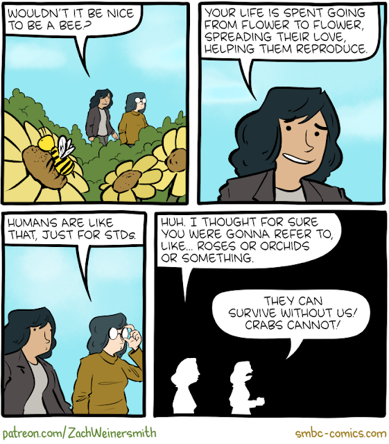 1724914500457.png