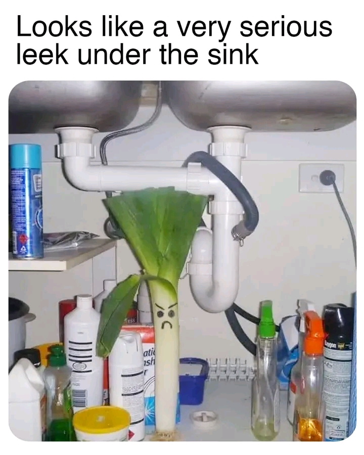 1725287428315.jpg