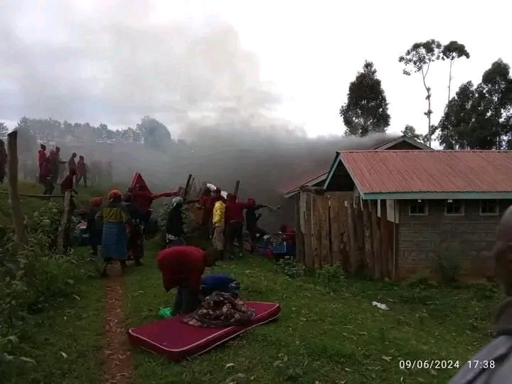 1725638524494.jpg