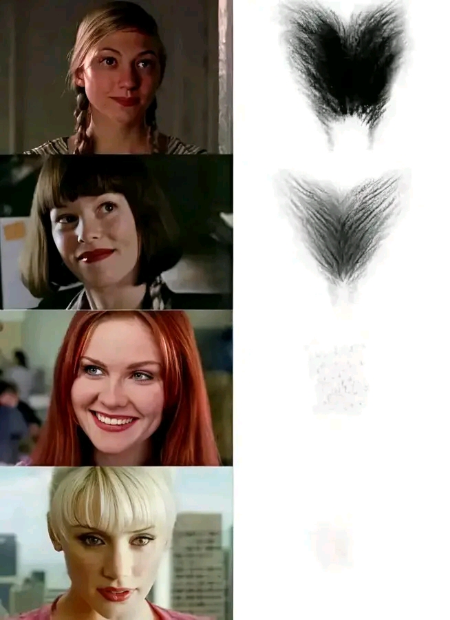 1725979583507.jpg