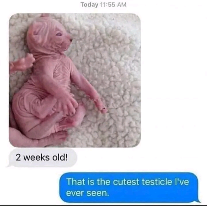 1726152380464.jpg