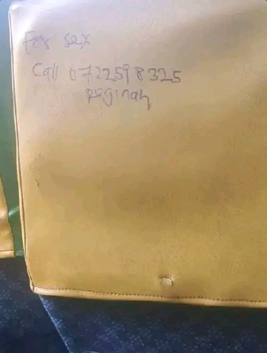 1729185437087.jpg