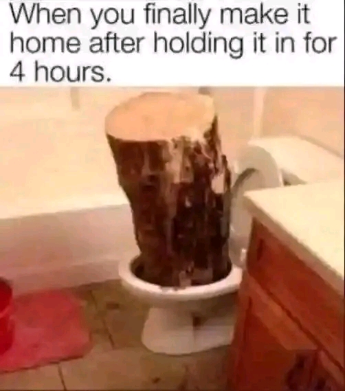 1729312763222.jpg