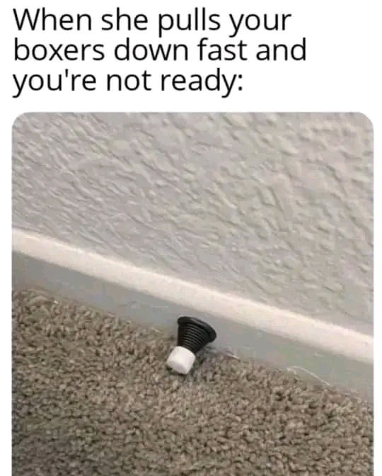 1729370437517.jpg