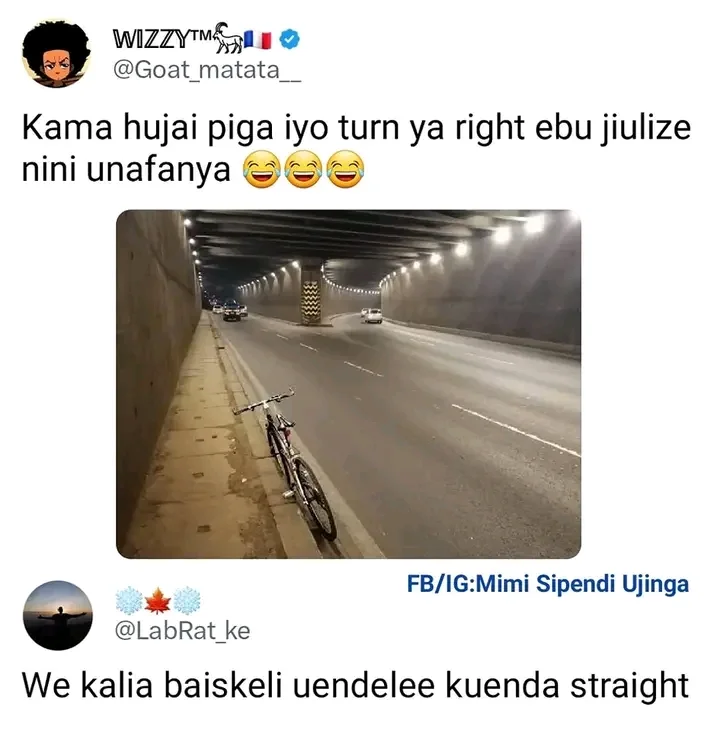 1733482261347.webp