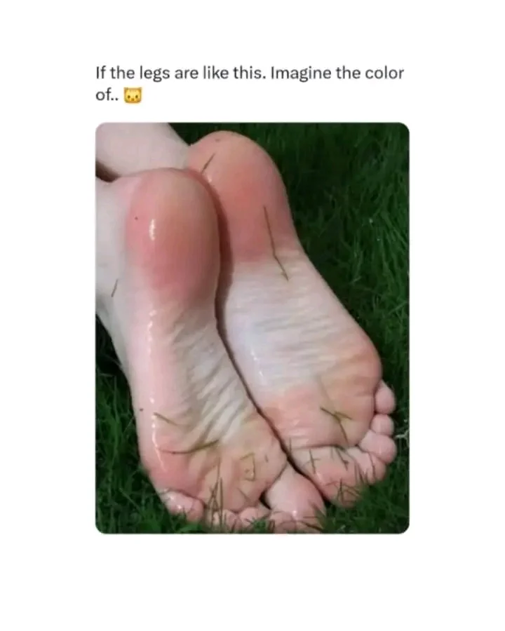 1736963098452.webp