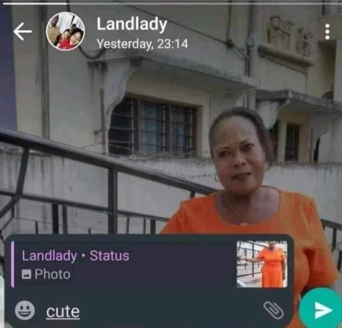1738241659594.webp