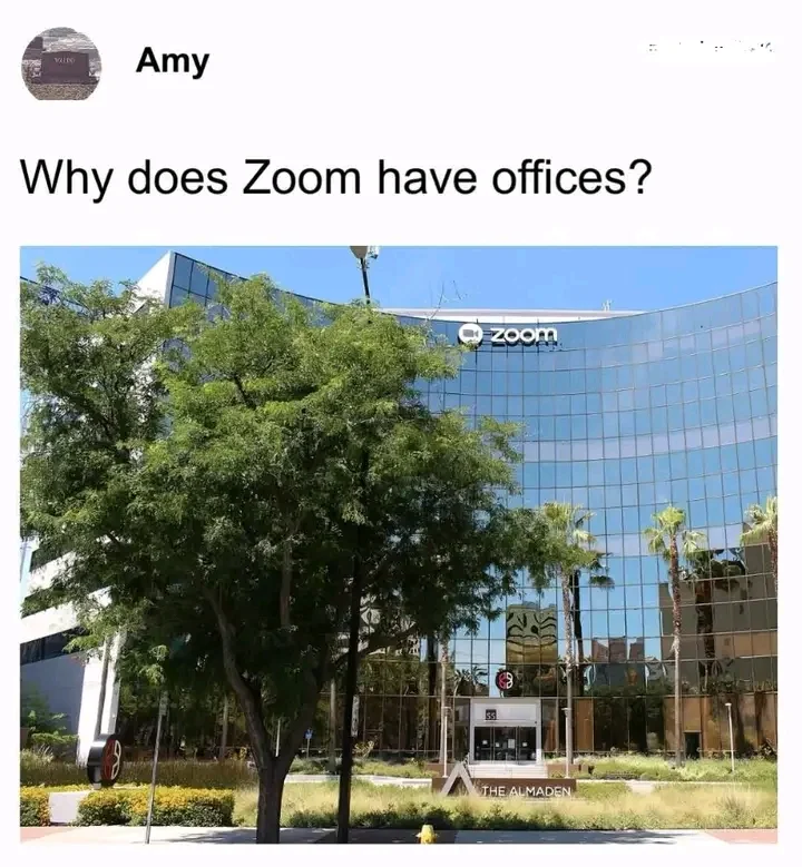 1748178164424.webp