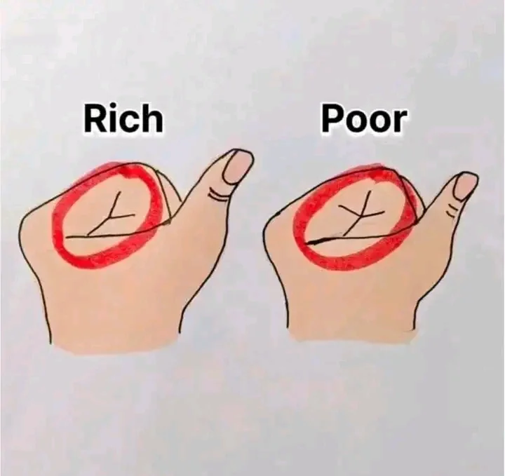 1749133063099.webp