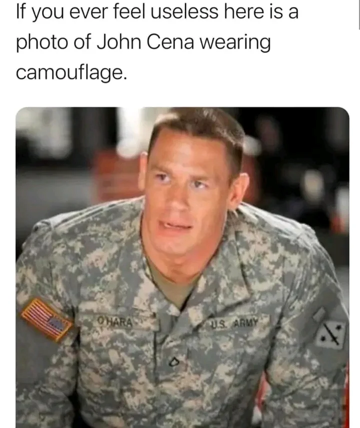 1765236416282.webp