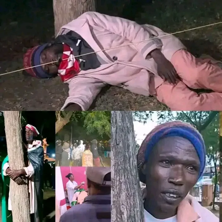 1768191353125.webp
