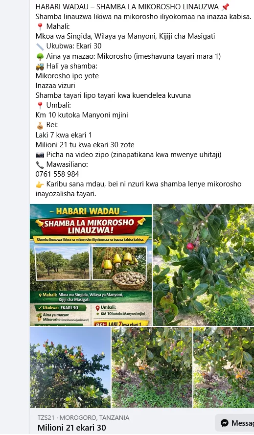 1769761159497.webp