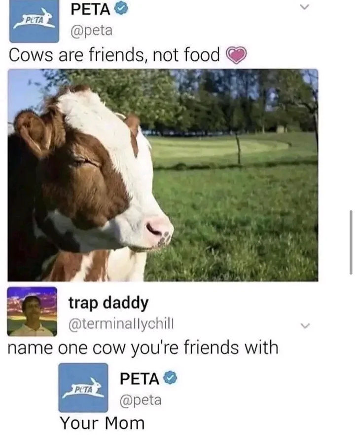1773332395223.webp