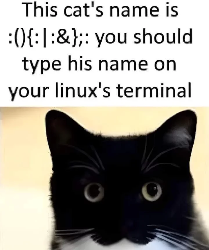 1775845423674.webp