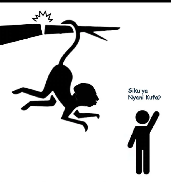 1777480036338.webp