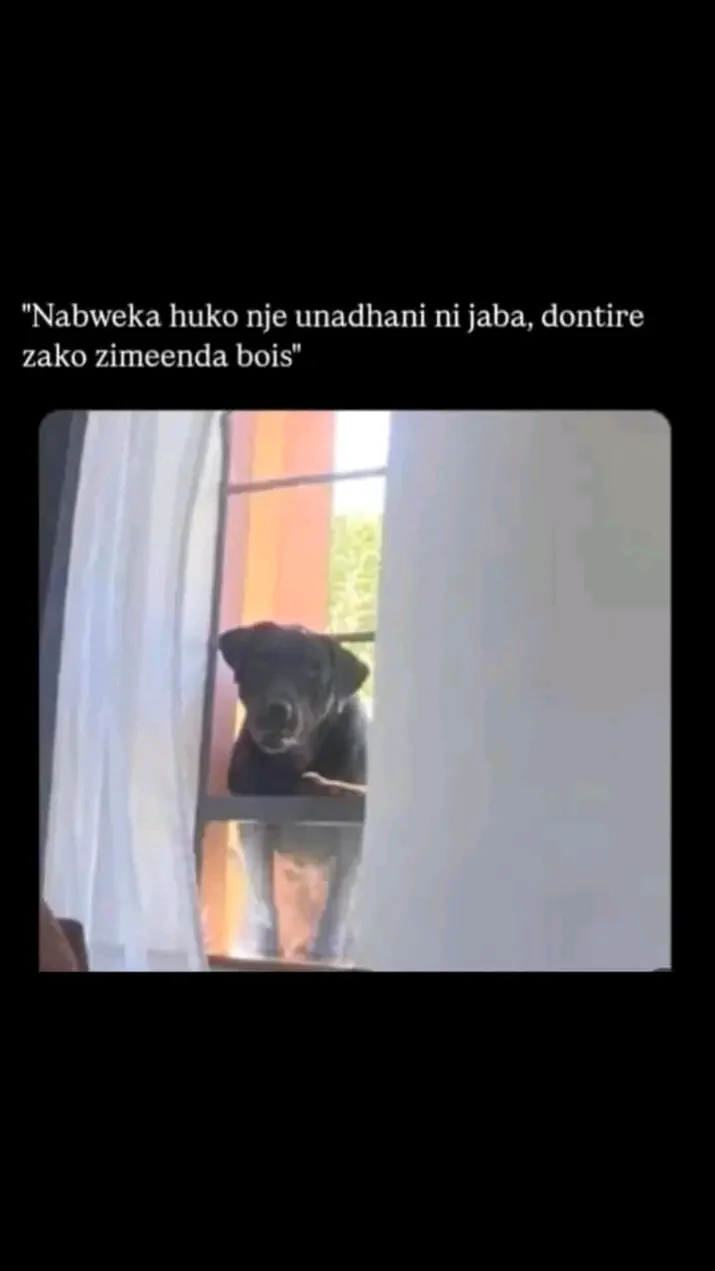 1785289354322.webp