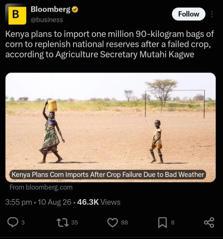 1786429028135.webp