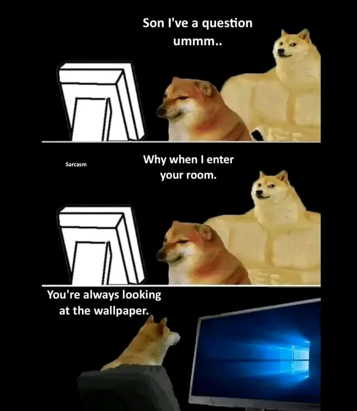 1788271093591.webp