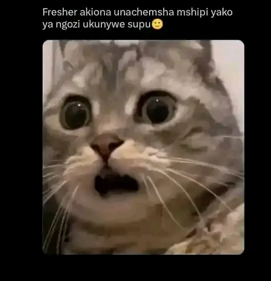 1789093271068.webp