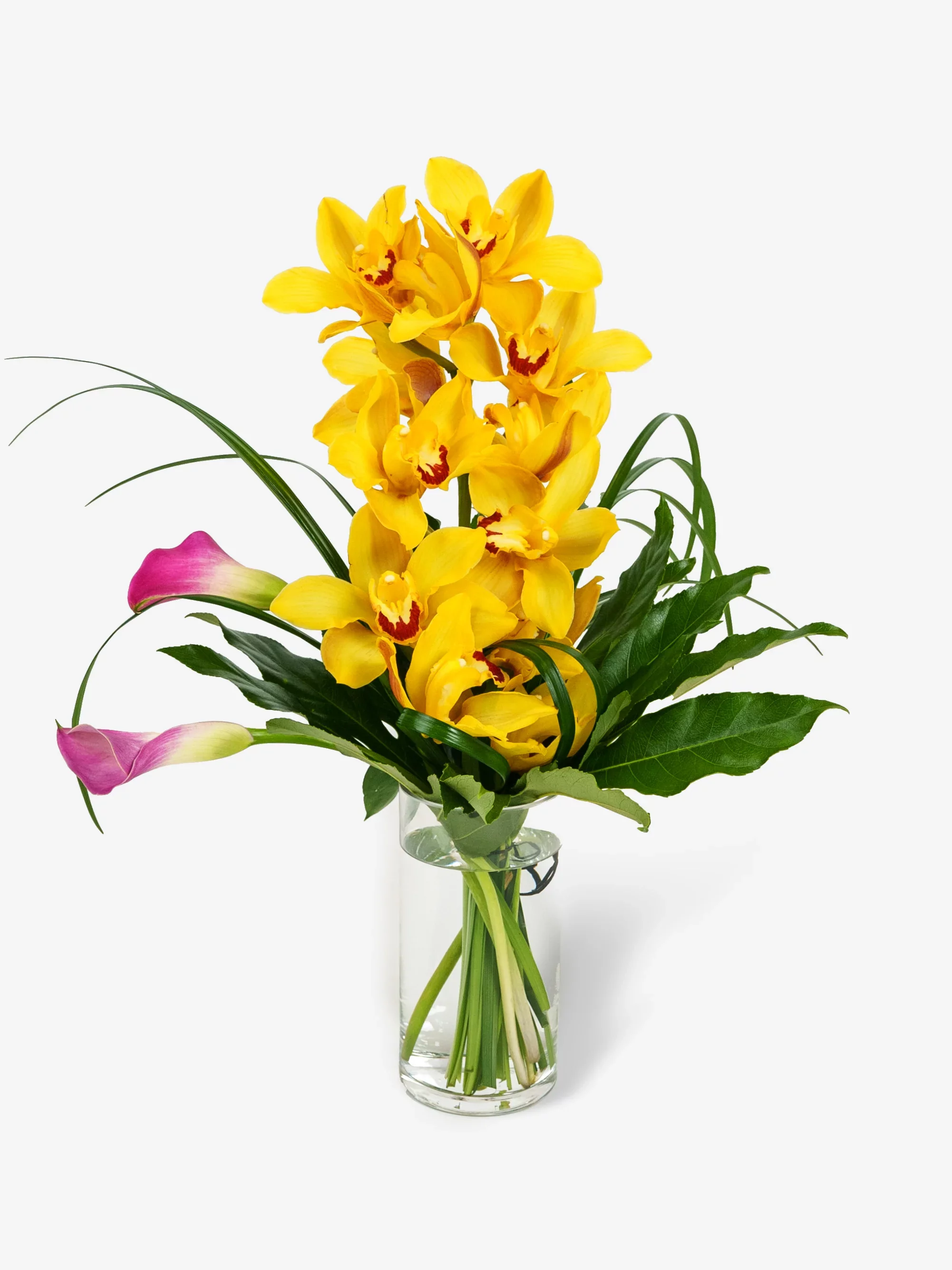 1792140309097.webp