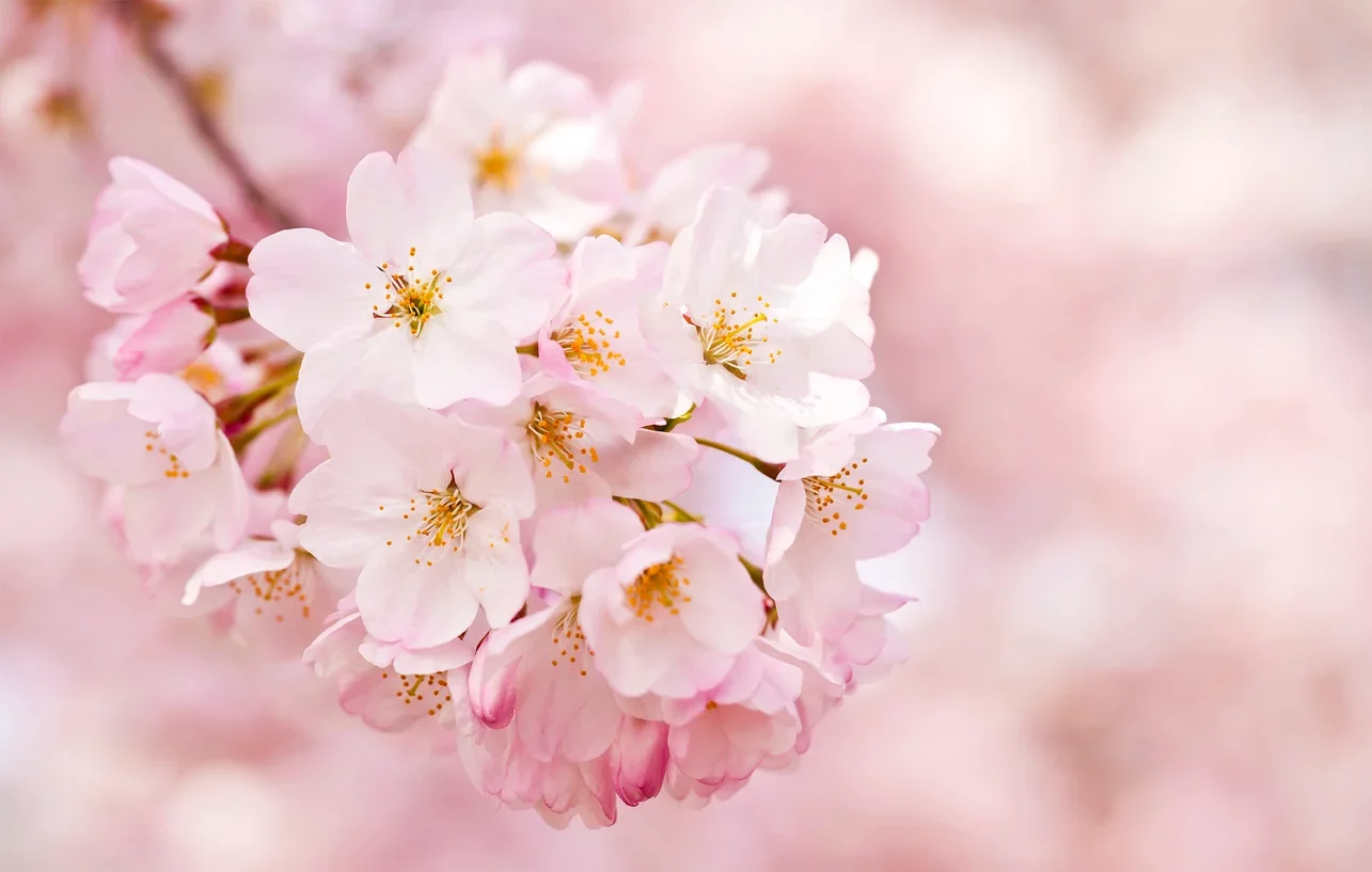 1792140429833.webp
