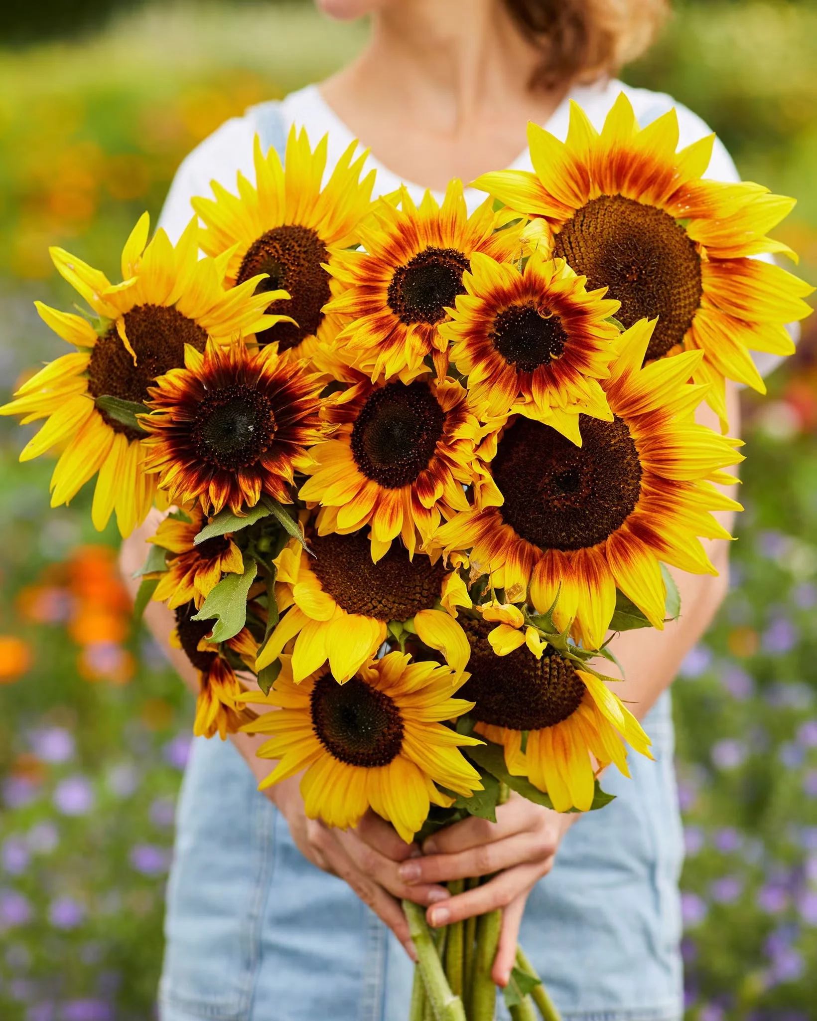 1792140749522.webp