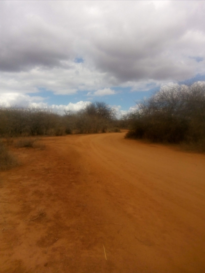 20200721_131758.jpg