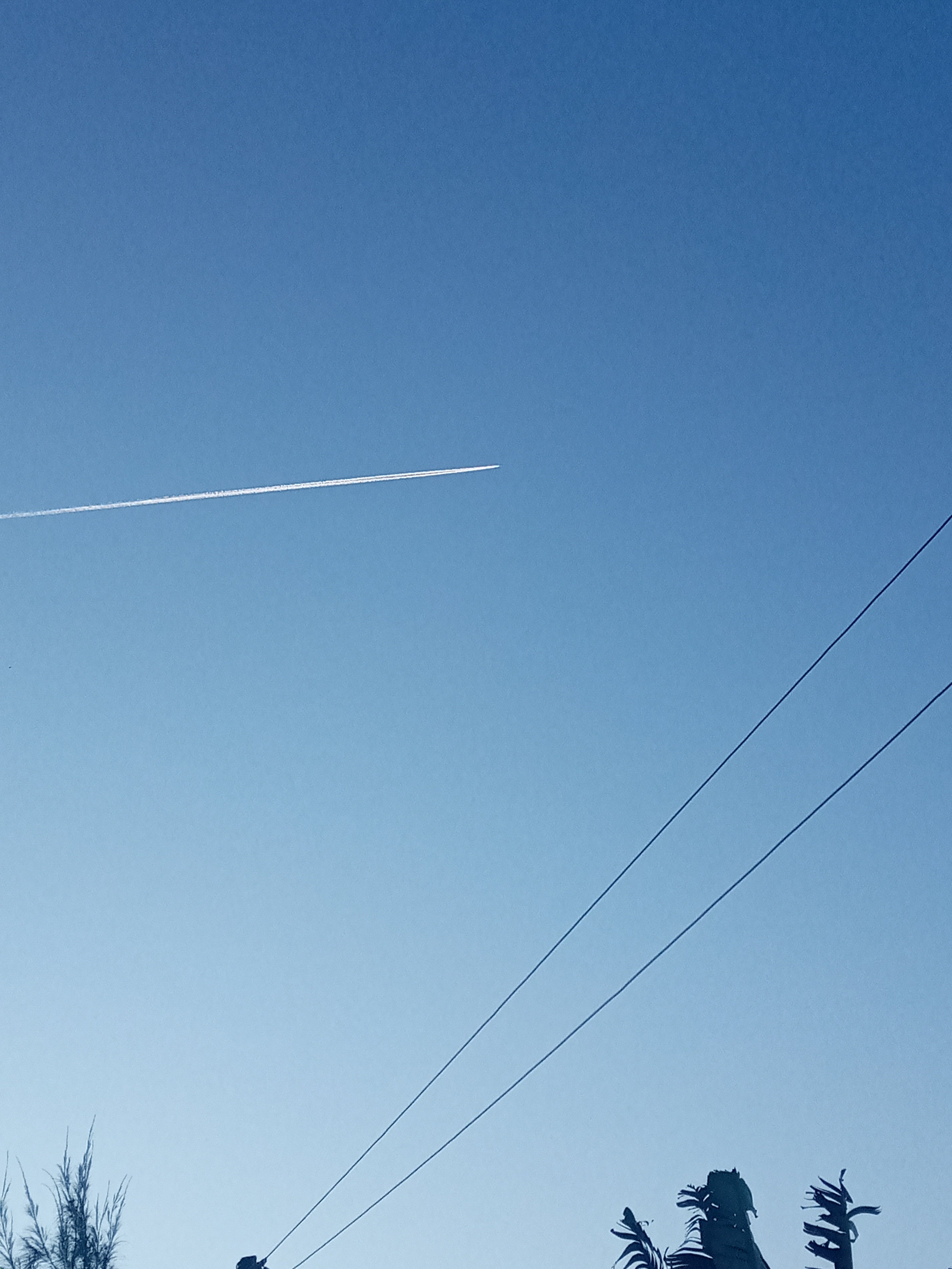 20201231_182253.jpg