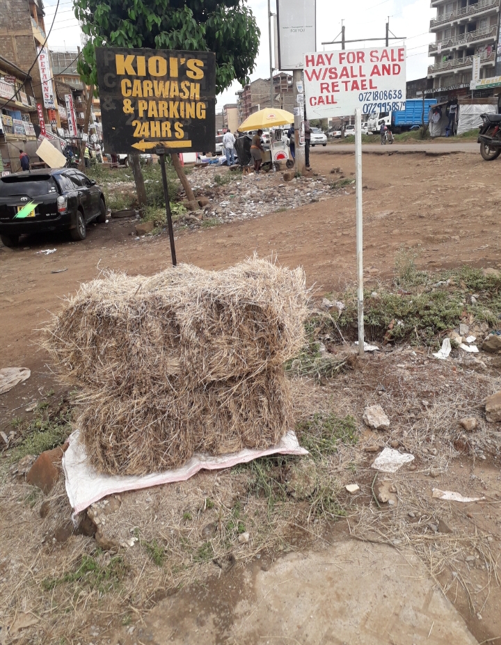 20210210_144604.jpg