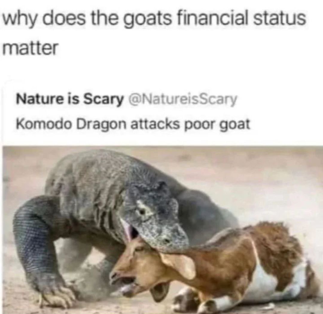 20240302_204405.jpg