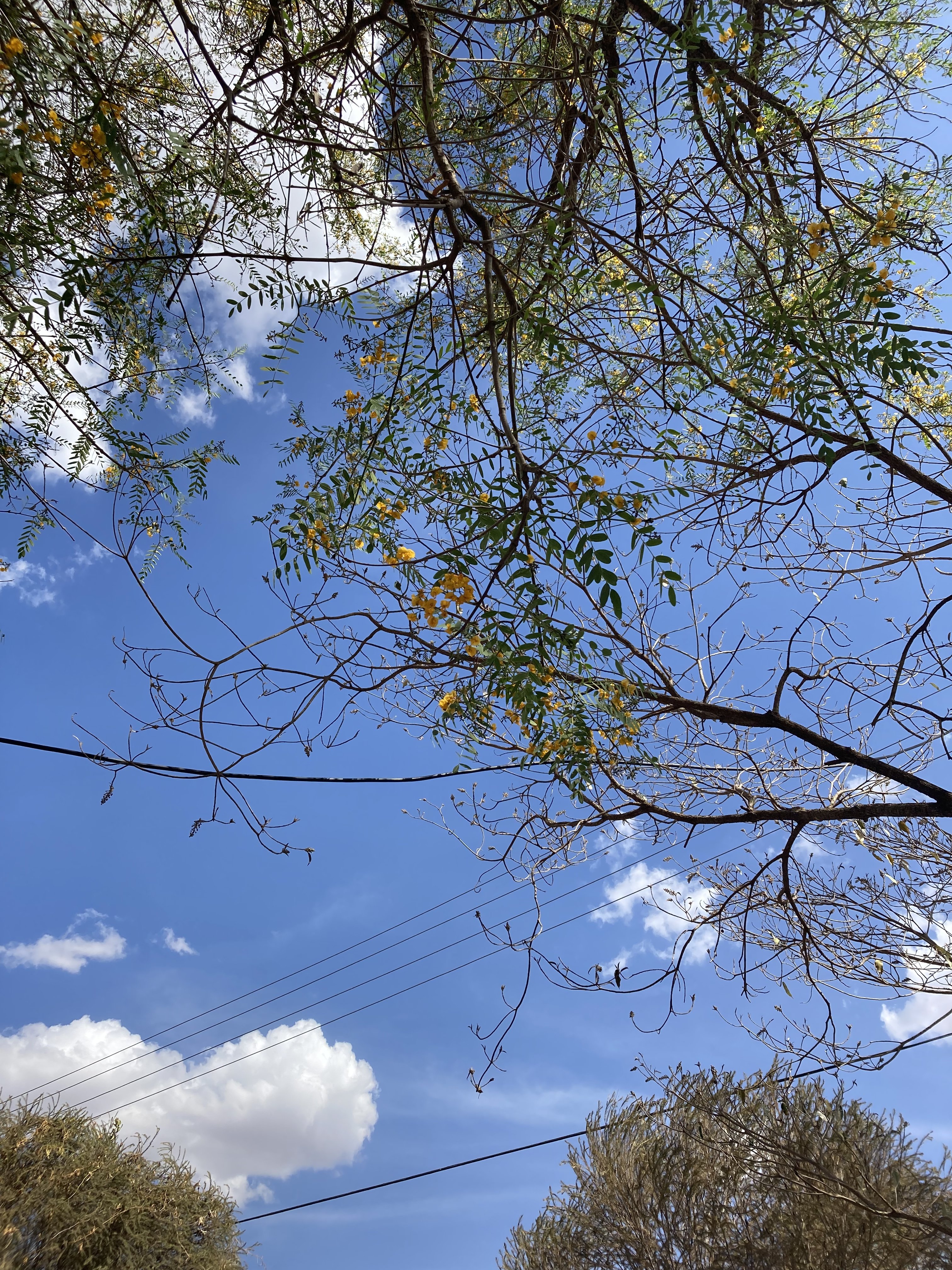3D223270-01BD-463F-8DF3-34DDD5AFB910.jpeg