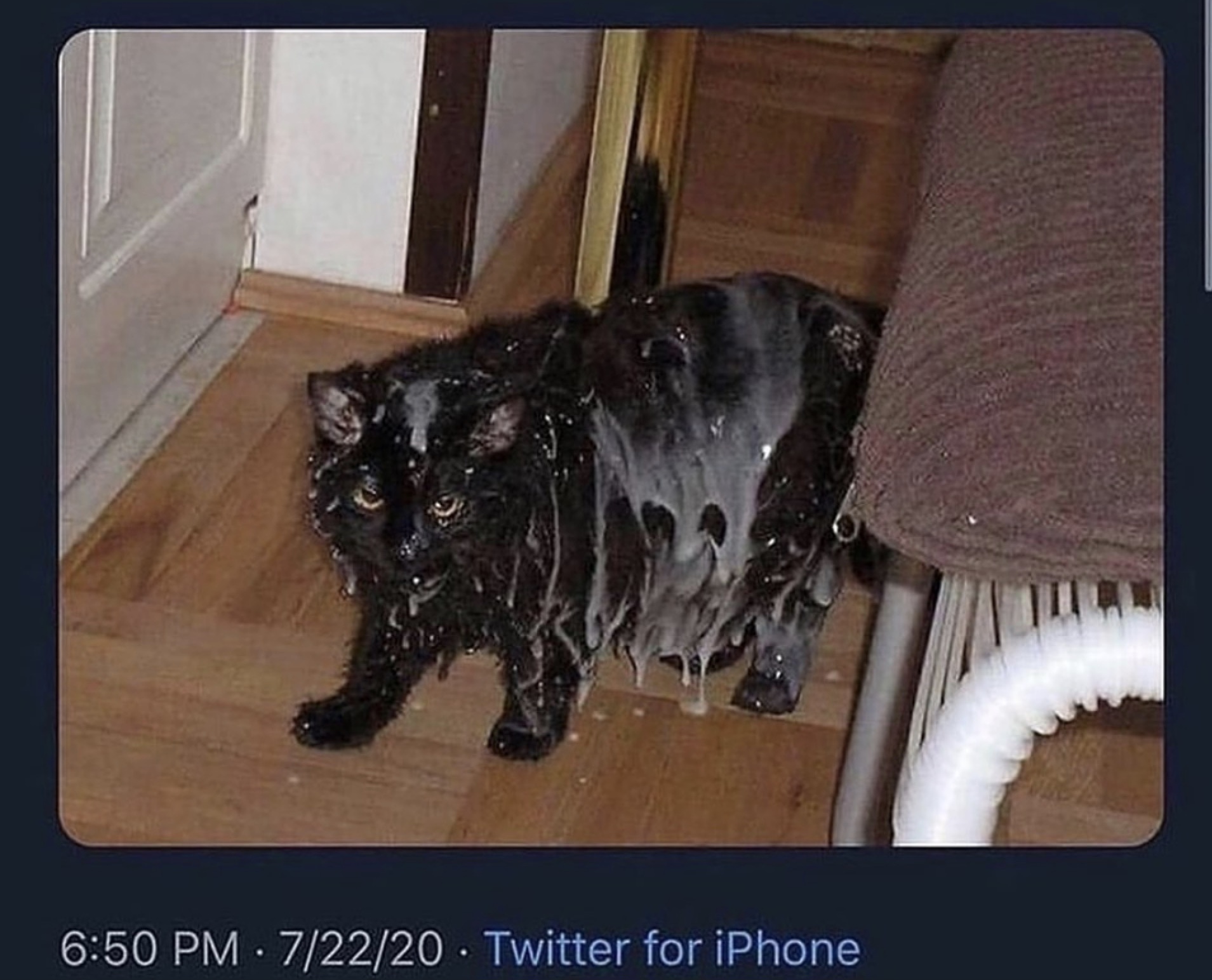 404B0B0C-0E61-49B1-854D-3168C9036C6E.jpeg