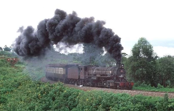 83856917_10216850054151296_4258336829897441280_n.webp