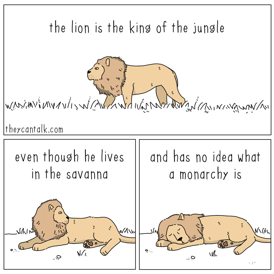 902c388d00cb11661cc36cfa461314989ec499a5.jpg