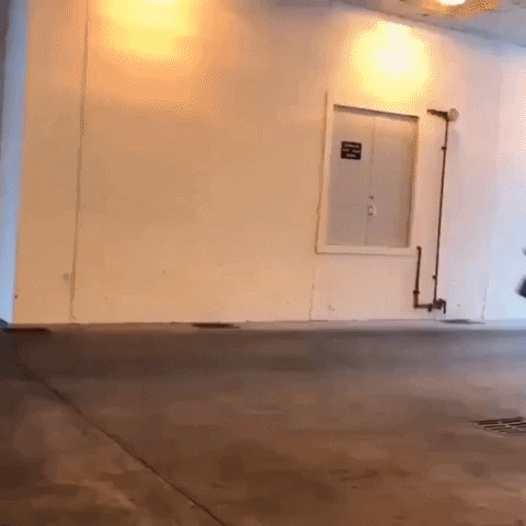 9EE0F275-91F9-4D9D-9163-8D28402E646B.gif