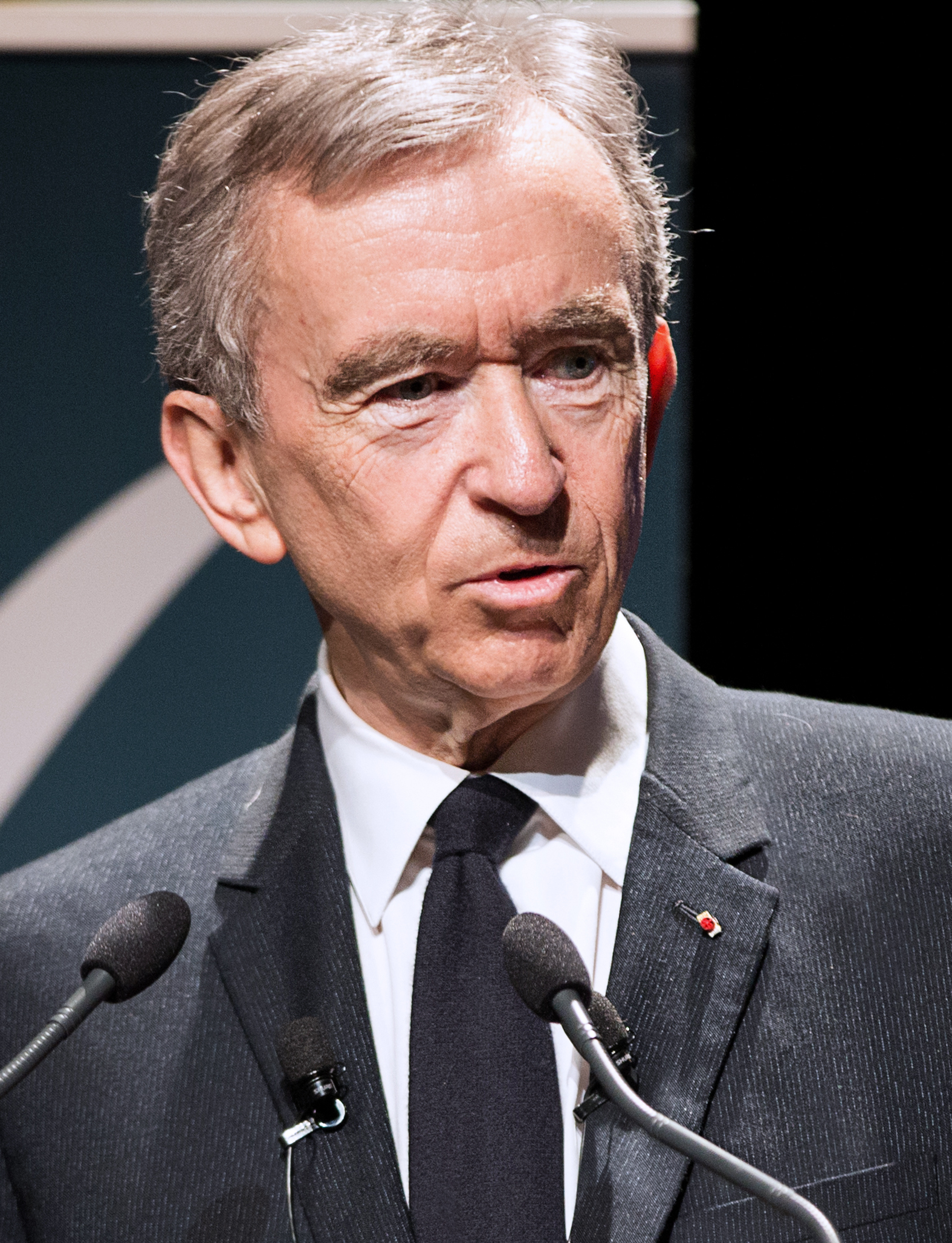 Bernard Arnault (3) - 2017 (cropped).jpg